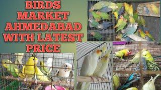 Birds Market With Price in Ahmedabad, Gujarat | Delhi Chakla | Budgie, Cockatiel, Rabbits, Love Bird