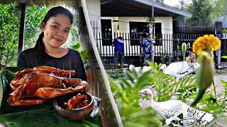 PABOTIN sweet & sour turkey | Planting string beans, sponge gourd, chillies in our mini garden