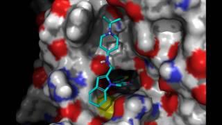 Factor Xa Inhibitors