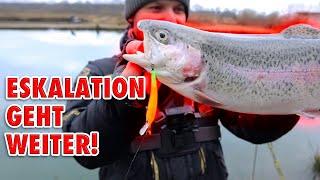 Escalation at the Forellentiech Part 2 | Trout fishing in winter | Patrick's fishing ponds