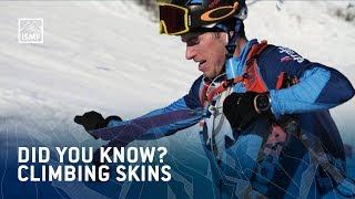 Did you know? Climbing skins | ISMF Ski Mountaineering