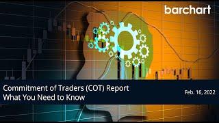 Commitment of Traders COT Report - What You Need to Know