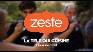 Zeste - Nouvelle programmation - Hiver 2017