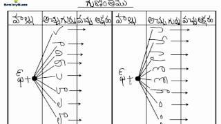 Telugu Guninthalu | Learn Pa and Pha Gunintham