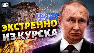 Экстренно из-под Курска! Путинцы УНИЧТОЖИЛИ село. Армия РФ утюжит свои города. На болотах пекло