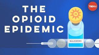 What causes opioid addiction, and why is it so tough to combat? - Mike Davis