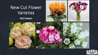 2022 New Cut Flower Varieties from Harris Seeds