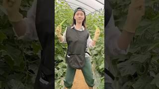 ‘힙레’추는 농부