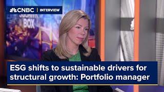 ESG investing shifts to focus on sustainable drivers for structural growth, portfolio manager says