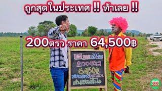 ที่ดินราคาถูกสุดในประเทศ 200ตรว 64,500 สด-ผ่อนได้หมด หนองมะโมง ชัยนาท