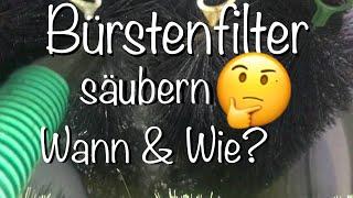 Wann & Wie mach ich meine Bürstenfilter sauber