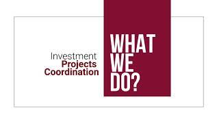 Investment Projects Coordination