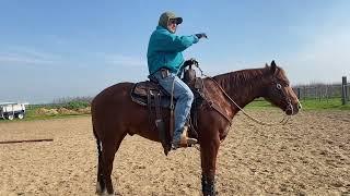 Inside leg, Outside Rein. Rachel Fingerle Lesson 1-6-22