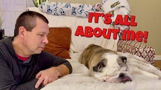 Reuben the Bulldog: Accommodate Me