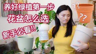 绿植新手入门系列 07 | 如何选择合适的花盆 | 大小材质怎么选 | 最透气不烂根 | 新手友好 | 没有滤水孔怎么办 | 自动浇水 | How to pick planter pot