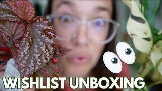 DREAM PLANT! Unexpected unboxing | Plant with Roos