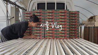 vlog. 똥개와 산다ㅣ담양살이 브이로그ㅣ시골 좋아요