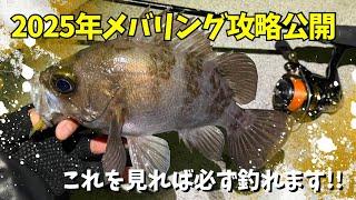 メバリングシーズン直前！釣り方や釣れるアイテム、タックル選定など解説！！これを見ればメバル釣れます！