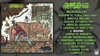 Effluence - Necrobiology FULL ALBUM (2024 - Brutal Death Metal / Free Jazz / Gorenoise)