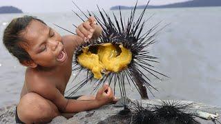 Primitive Technology: Find and Catch Urchin in Ocean - Survival Skills: Urchin Eating Raw