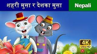 शहरी मुसा र देशका मुसा नेपाली | Town Mouse Country Mouse | Nepali Fairy Tales | Wings Music Nepal