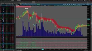 Trading with the Dynamic Trend Indicator