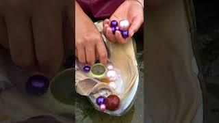 The pearls in wild river clams are beautiful