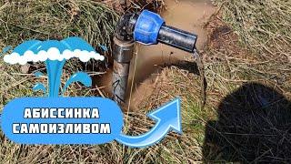 Абиссинская скважина самоизлив!