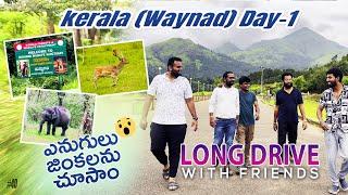 Discover the Hidden Gems of Waynad on Our Long Drive with Friends  #wayanad #kerala