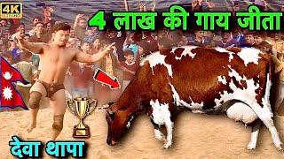 देवा थापा ने 4 लाख की गाय जीता | deva thapa ki new kushti | deva thapa ka dangal | deva thapa kushti