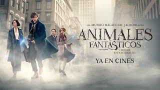 Animales Fantásticos y Dónde Encontrarlos - Tráiler Final Castellano HD