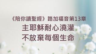 主耶穌耐心澆灌，不放棄每個生命《路加福音13》｜陪你讀聖經2