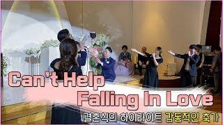 Can't Help Falling In Love 부산창원뮤지컬축가