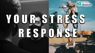 Your Stress Response - Your Adrenal And Thyroid Reaction