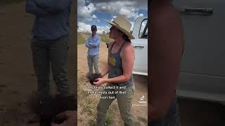 Regenerative ag. Sarah Gleason and how species are interconnected in an ecosystem. Bison & Birds.