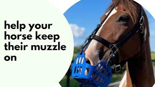 Grazing Muzzle Tips - Stop Your Horse From Removing the Muzzle