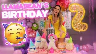 BIGGEST SURPRISE PARTY EVER !! LLAMABEANS 2nd BIRTHDAY !!