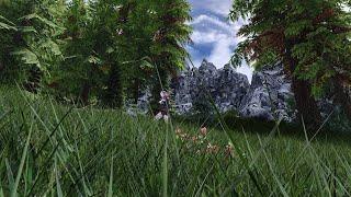 Skyrim Mod | Realistic Grass Field Comparison | 4K