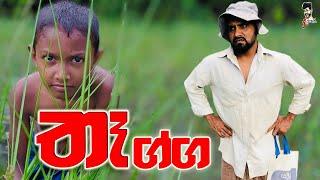 තෑග්ග | thegga - Attaraya