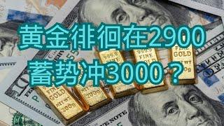 黄金徘徊在2900，蓄势冲3000？