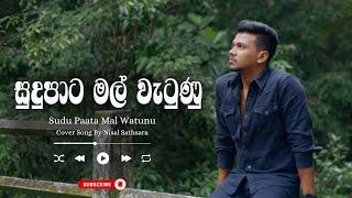 Sudu Paata Mal Watunu (සුදු පාට මල් වැටුණු) | Cover Song by Nisal Sathsara