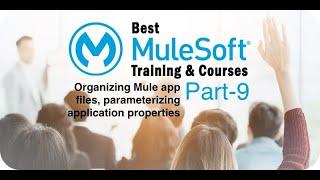 MuleSoft Training for Beginners Part 9 (Organizing Files, Parameterizing Properties,troubleshooting)