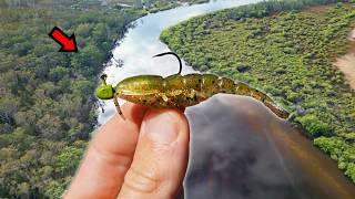 Fishing Prawn Lures for Whatever Bites!!