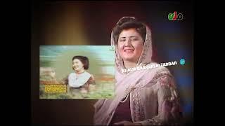 Mrs Gulshan - Pashto Song zama da zulfo میرمن گلشن - زما د زلفو ارمانونه ټول جهان کا