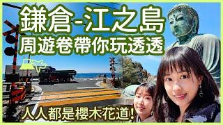 【東京旅遊】灌籃高手平交道！鎌倉大佛必朝聖！鎌倉＆江之島沿線一日遊！｜Vlog｜YA diary