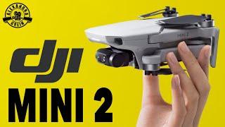 DJI Mini 2: Was ist neu und zahlt sich ein Upgrade aus? | Mavic Mini VS Mini 2