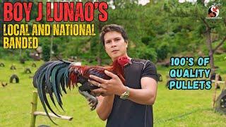 S2E2 - Boy J Lunao's Local and National Banded + 100's of Quality Pullets