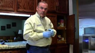 Regular Pest Control Inside the Home (Part 1 of 2)