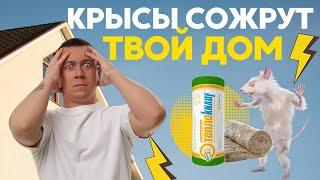 Грызуны не страшны! Утеплитель дома Knauf / Состав, экологичность, усадка, особенности