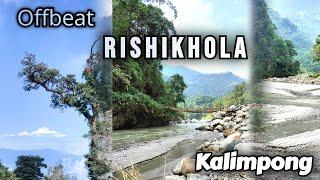 Rishikhola| Banalata Homestay| Offbeat Destination Of North Bengal| Ramdhura Homestay #silkroute